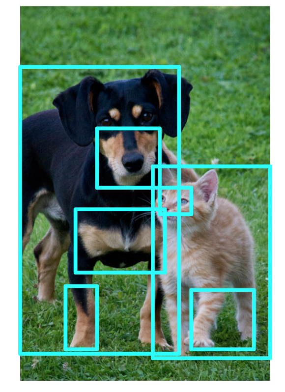 Suggested region proposals for an image of a cat and dog.